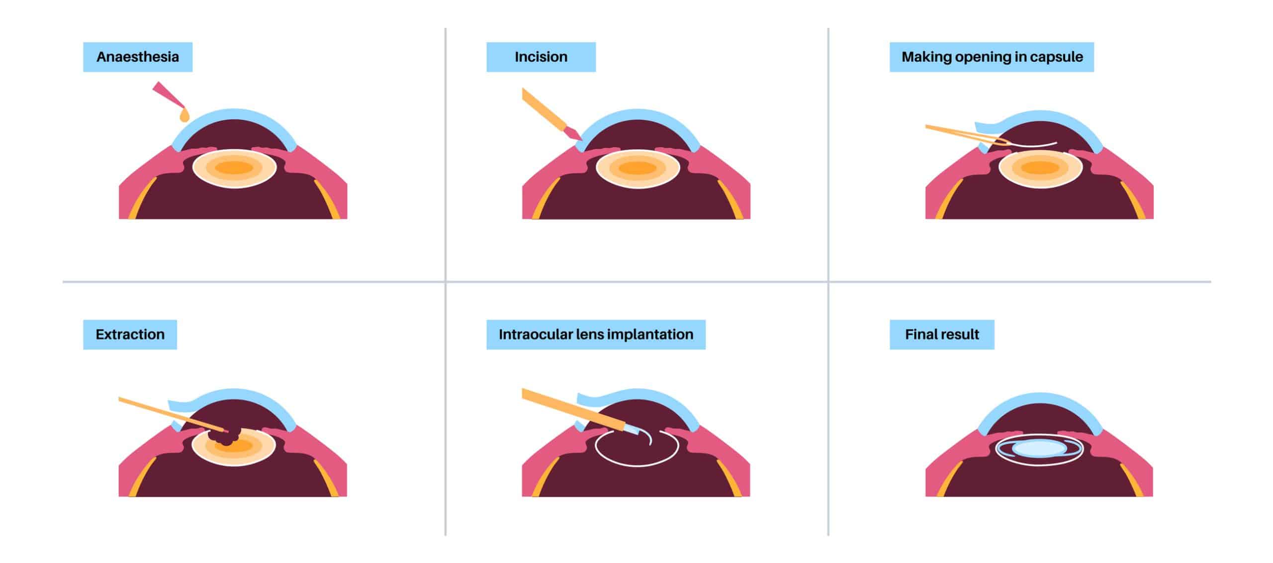 iStock 2165945072 scaled