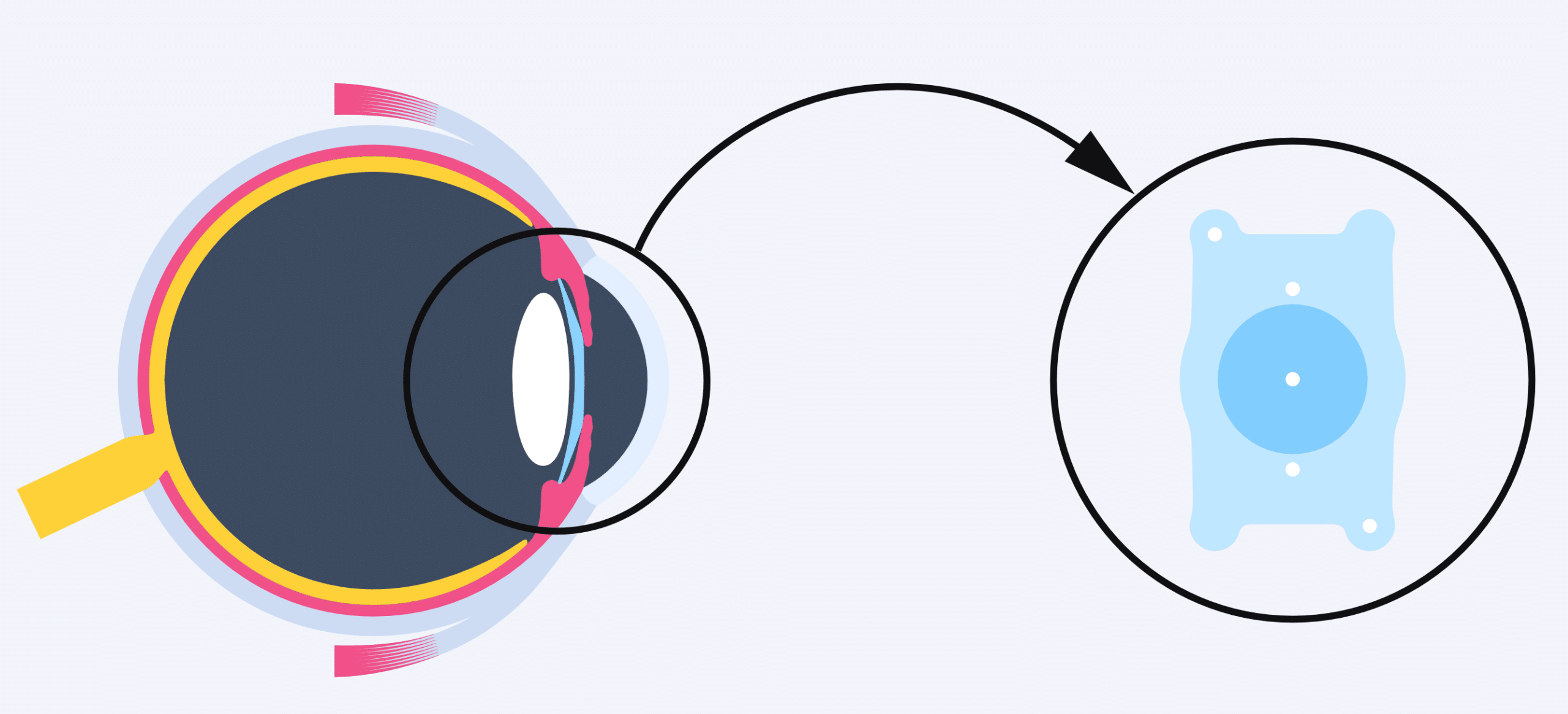 iStock 2167324265 scaled