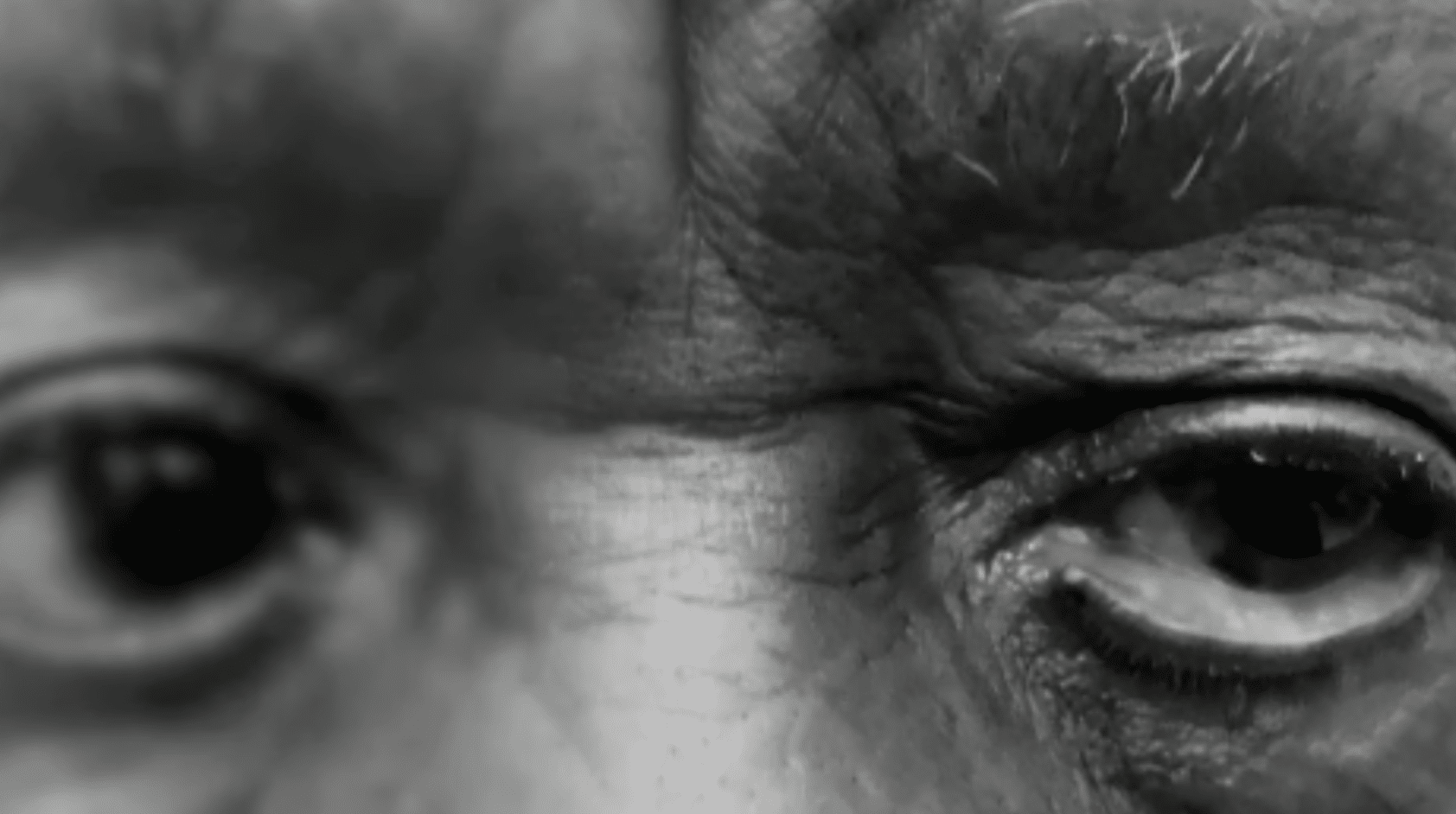 Capture decran 2025 10 06 a 11.36.48